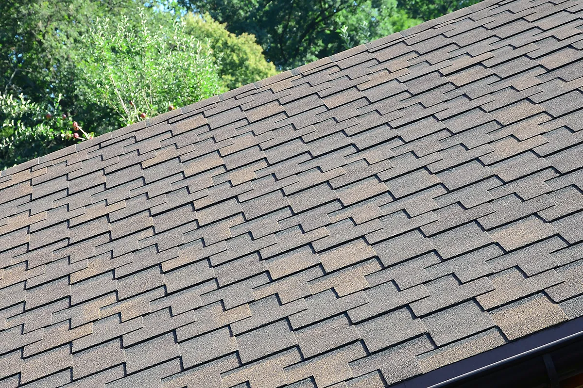 Shingles on roof with trees in background.