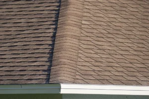 Roof Tight shingles